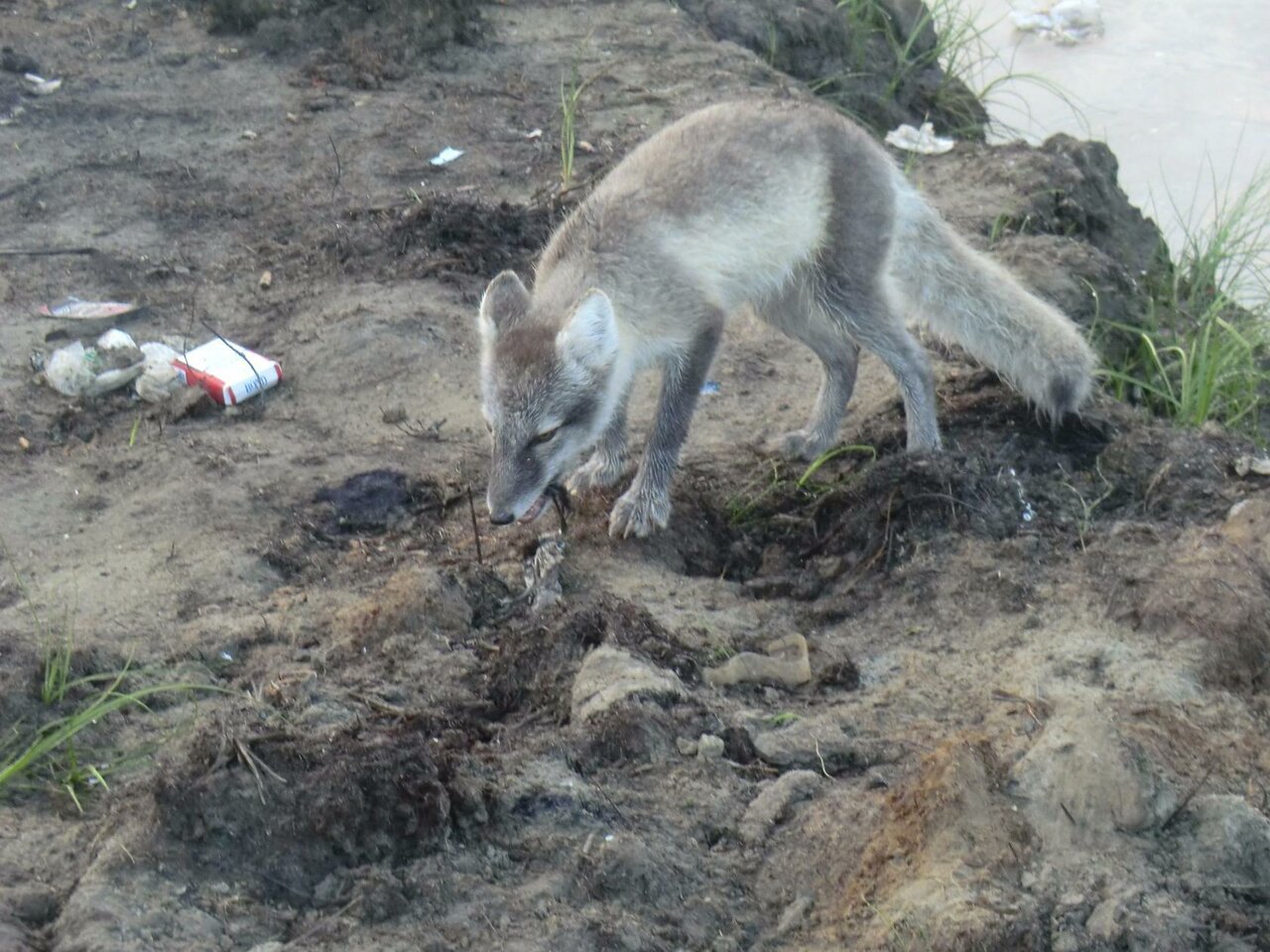 Гостиница Жить просто Пятигорск-70