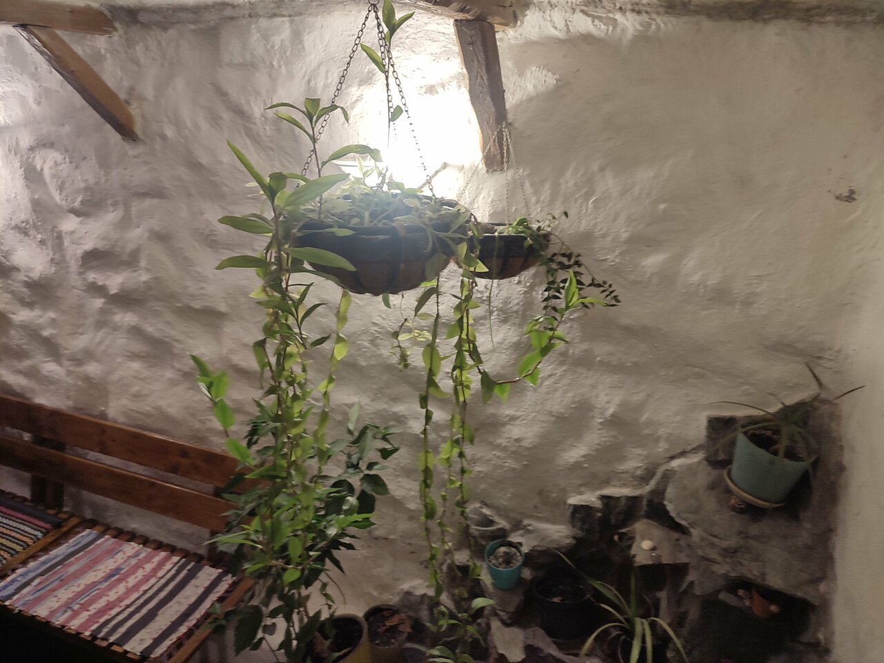 Гостиница Жить просто Пятигорск-104