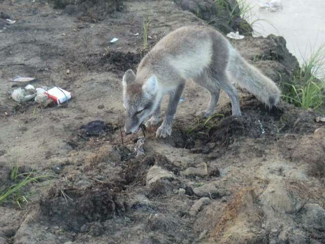 Гостиница Жить просто Пятигорск-69