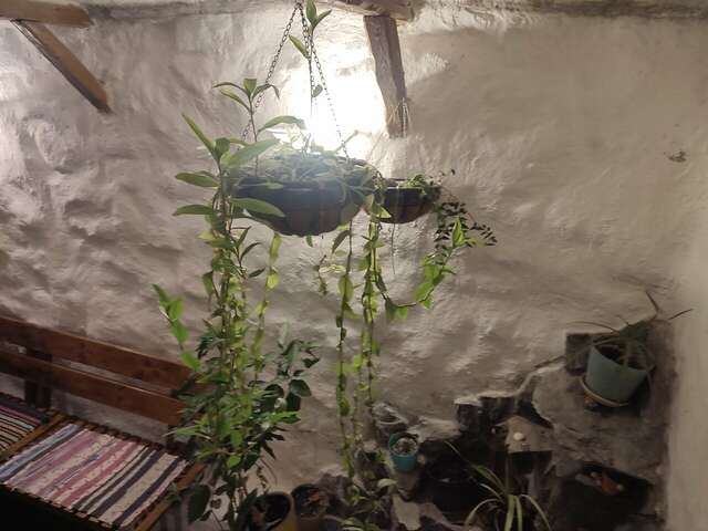 Гостиница Жить просто Пятигорск-103